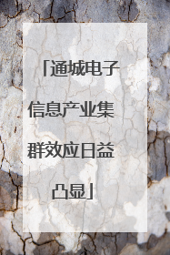 通城电子信息产业集群效应日益凸显