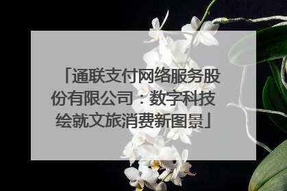 通联支付网络服务股份有限公司：数字科技绘就文旅消费新图景