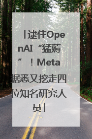 逮住OpenAI“猛薅”！Meta据悉又挖走四位知名研究人员
