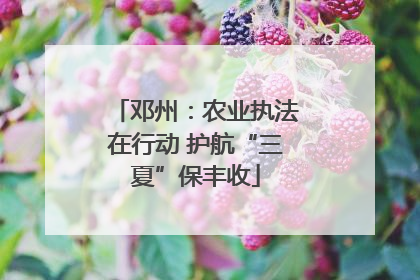 邓州：农业执法在行动 护航“三夏”保丰收