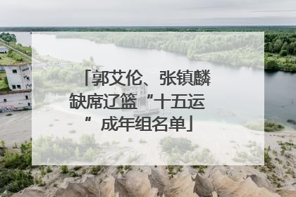 郭艾伦、张镇麟缺席辽篮“十五运”成年组名单