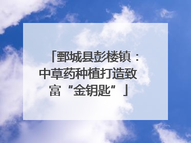 鄄城县彭楼镇：中草药种植打造致富“金钥匙”
