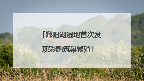 鄱阳湖湿地首次发现彩鹮筑巢繁殖