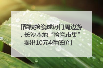 醴陵捡瓷成热门周边游，长沙本地“捡瓷市集”卖出10元4件低价