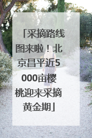 采摘路线图来啦！北京昌平近5000亩樱桃迎来采摘黄金期