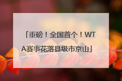 重磅！全国首个！WTA赛事花落县级市京山