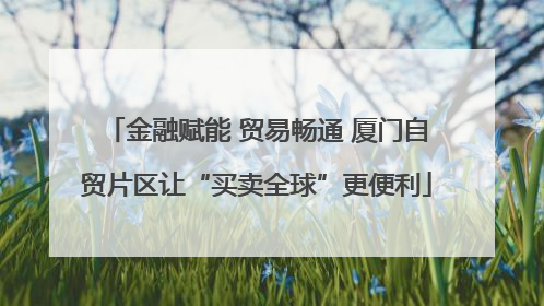 金融赋能 贸易畅通 厦门自贸片区让“买卖全球”更便利