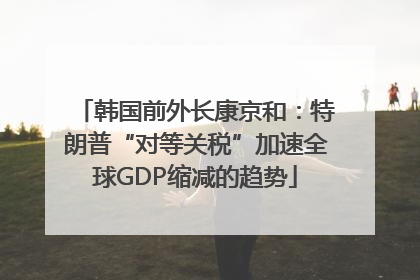 韩国前外长康京和：特朗普“对等关税”加速全球GDP缩减的趋势