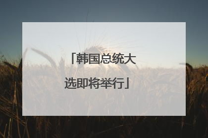 韩国总统大选即将举行