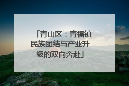 青山区：青福镇民族团结与产业升级的双向奔赴