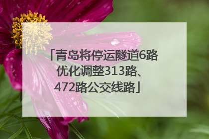 青岛将停运隧道6路 优化调整313路、472路公交线路