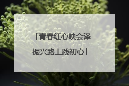 青春红心映会泽 振兴路上践初心