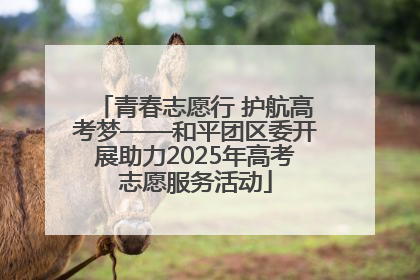 青春志愿行 护航高考梦——和平团区委开展助力2025年高考志愿服务活动