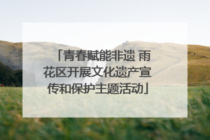 青春赋能非遗 雨花区开展文化遗产宣传和保护主题活动