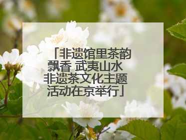 非遗馆里茶韵飘香 武夷山水非遗茶文化主题活动在京举行