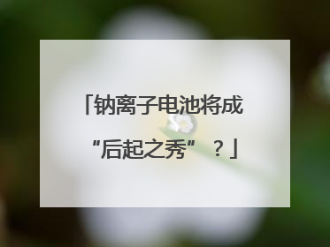 钠离子电池将成“后起之秀”？