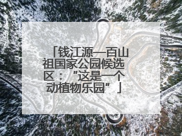钱江源—百山祖国家公园候选区：“这是一个动植物乐园”