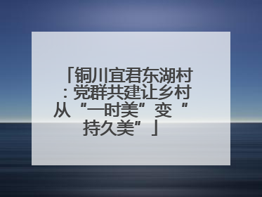 铜川宜君东湖村：党群共建让乡村从“一时美”变“持久美”
