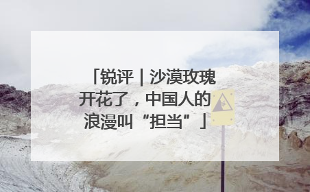 锐评｜沙漠玫瑰开花了，中国人的浪漫叫“担当”