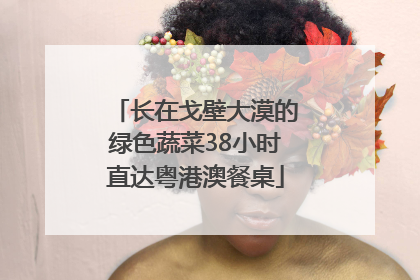 长在戈壁大漠的绿色蔬菜38小时直达粤港澳餐桌