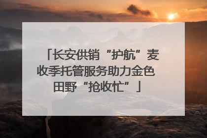 长安供销“护航”麦收季托管服务助力金色田野“抢收忙”
