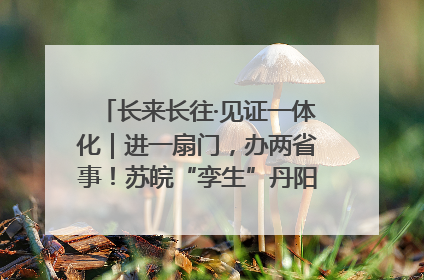 长来长往·见证一体化｜进一扇门，办两省事！苏皖“孪生”丹阳如何做到的？