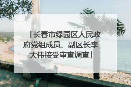 长春市绿园区人民政府党组成员、副区长李大伟接受审查调查