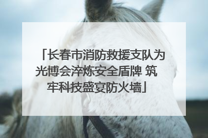 长春市消防救援支队为光博会淬炼安全盾牌 筑牢科技盛宴防火墙