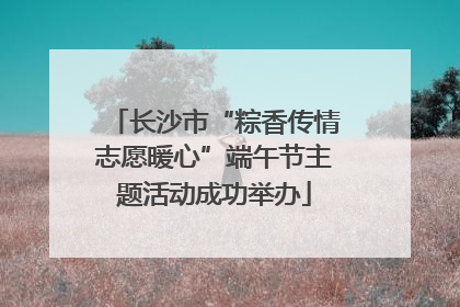 长沙市“粽香传情志愿暖心”端午节主题活动成功举办