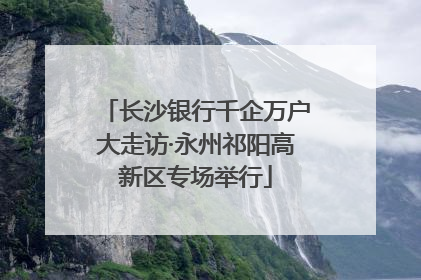 长沙银行千企万户大走访·永州祁阳高新区专场举行