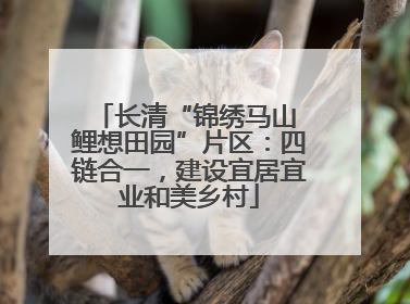 长清“锦绣马山 鲤想田园”片区：四链合一，建设宜居宜业和美乡村