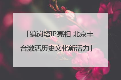 镇岗塔IP亮相 北京丰台激活历史文化新活力
