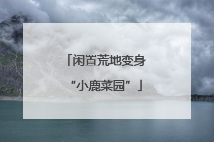 闲置荒地变身“小鹿菜园”