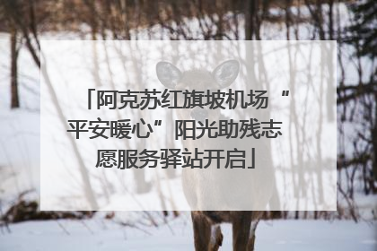阿克苏红旗坡机场“平安暖心”阳光助残志愿服务驿站开启