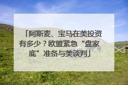 阿斯麦、宝马在美投资有多少？欧盟紧急“盘家底”准备与美谈判