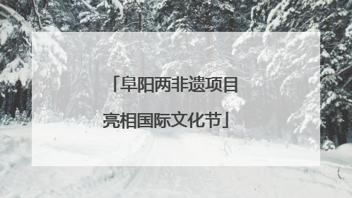 阜阳两非遗项目亮相国际文化节