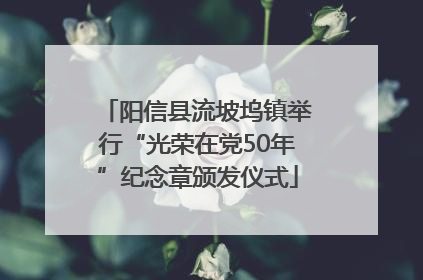 阳信县流坡坞镇举行“光荣在党50年”纪念章颁发仪式