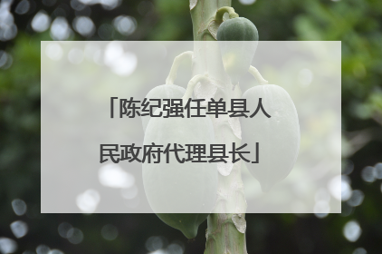 陈纪强任单县人民政府代理县长