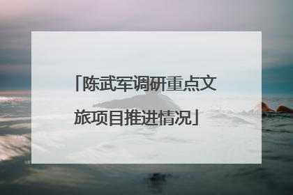 陈武军调研重点文旅项目推进情况