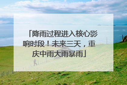 降雨过程进入核心影响时段！未来三天，重庆中雨大雨暴雨