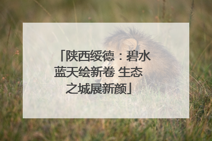 陕西绥德：碧水蓝天绘新卷 生态之城展新颜