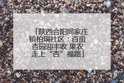 陕西合阳同家庄镇柏瑞社区：百亩杏园迎丰收 果农走上“杏”福路