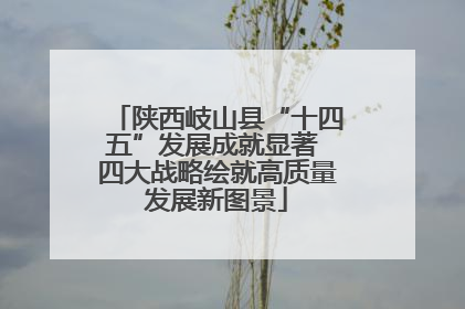 陕西岐山县“十四五”发展成就显著 四大战略绘就高质量发展新图景