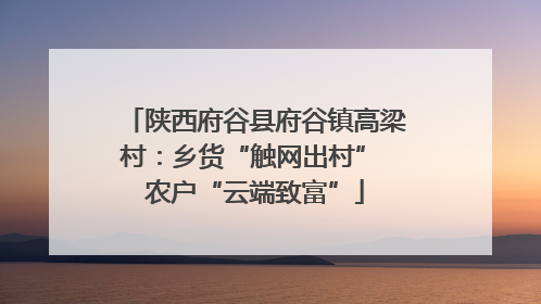 陕西府谷县府谷镇高梁村：乡货“触网出村” 农户“云端致富”