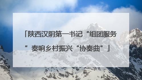 陕西汉阴第一书记“组团服务”奏响乡村振兴“协奏曲”