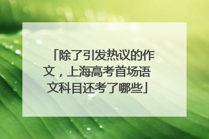除了引发热议的作文，上海高考首场语文科目还考了哪些