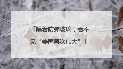 隔着防弹玻璃，看不见“美国再次伟大”