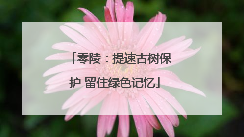 零陵：提速古树保护 留住绿色记忆