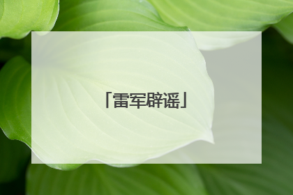雷军辟谣