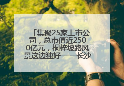 集聚25家上市公司，总市值近2500亿元，桐梓坡路风景这边独好——长沙有条“上市路”